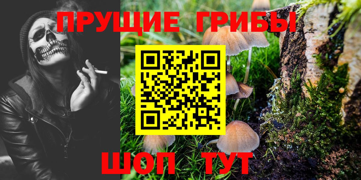 Галлюциногенные грибы Magic Shrooms Северобайкальск