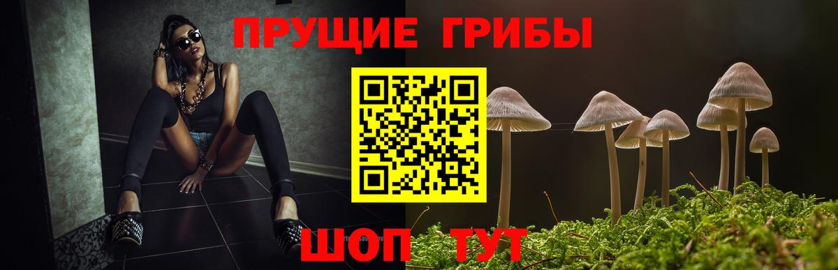 Северобайкальск  Галлюциногенные грибы MAGIC MUSHROOMS  Вход с VPN  Псилоцибиновые грибы MAGIC MUSHROOMS 